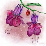 Purple Fuchsia Art Print