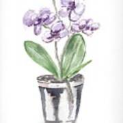 Purple Orchid Art Print