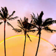 Rainbow Palms Art Print