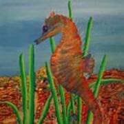 Rainbow Seahorse Art Print