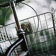 Raindrops Lingering On A Bike Basket Art Print