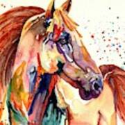 Rainy Horse Art Print