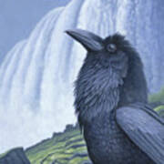 Raven Water Art Print