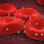 Red Blood Cells With Antigens. Art Print