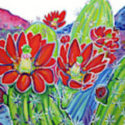 Red Cactus Flowers Art Print