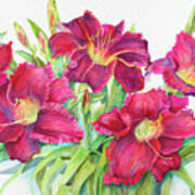 Red Daylilies With Yellow Centers Art Print