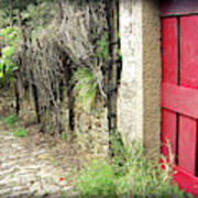 Red Garden Door Art Print