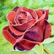 Red Red Rose Art Print