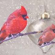 Reflection Of A Cardinal Art Print