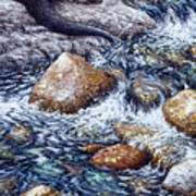 River Otter 2 Art Print