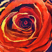Bold Rose Art Print