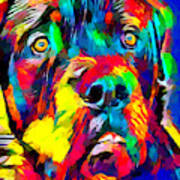 Rottweiler 2 Art Print