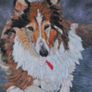 Rough Collie Art Print