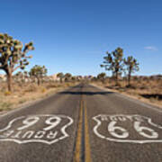 Details about   Route 66 Joshua Trees National Park California Desert Road to Las Vegas Postcard 