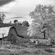 Rural Farmhouse And Lone Tree Landscape In Infrared Monochrome Art Print
