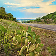 Rural Texas Highway, Prickly Pear Art Print