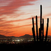 Saguaro Cactus Silhouette At Dusk Art Print