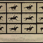 Sallie Gardner At A Gallop - Horse In Motion Art Print