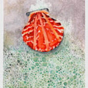 Scallop Shell Art Print