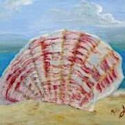 Scallop Shell In The Sand Art Print