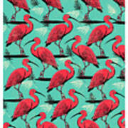 Scarlet Ibis Art Print