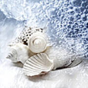 Sea Snails Art Print