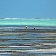 Sea Weed Collectors 1 Art Print