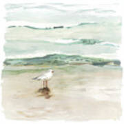 Seagull Cove I Art Print