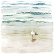 Seagull Cove Ii Art Print