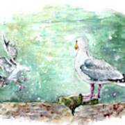 Seagulls In Porthleven Art Print