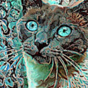 Seal Point Siamese Cat Art Print