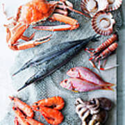 Selection Of Fresh Seafood Art Print