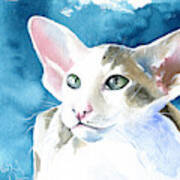 Selene Peterbald Cat Painting Art Print