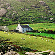 Sheep Grazing Near Farmhouses, Munster Art Print