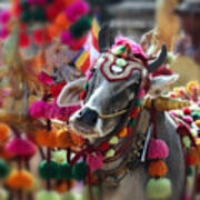 Shinbyu Parade, Burma Art Print