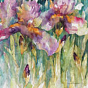 Siberian Iris Art Print