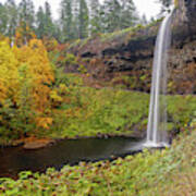 Silver Falls In Autumn Art Print