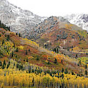 Silver Lake Flat With Fall Colors - American Fork Canyon, Utah Art Print