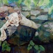 Sleeping Lioness Art Print