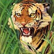 Snarling Tiger Art Print