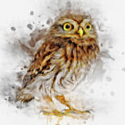 Snow Owl Art Print