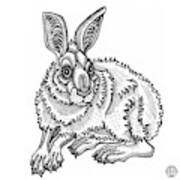 Snowshoe Hare Art Print