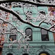 Snowstorm Brownstones Branches Art Print