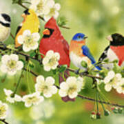 Songbirds On A Flowering Branch Art Print