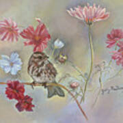 Sparrow In Cosmos Flowers Art Print