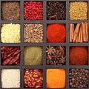 Spices - The Variety Of Life Art Print