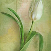 Spring Tulip Montage Art Print