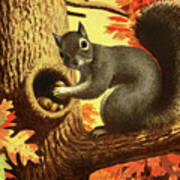 Squirrel Storing Nuts Art Print