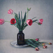 Still Life With Tulips Art Print