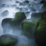 Stone Forest Art Print